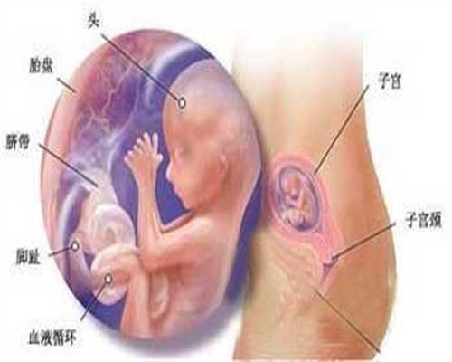 代孕妈们要注意留心这些行为会对胎儿造成伤害