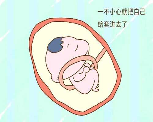 胎儿作息和代孕一样吗 胎儿作息和代孕有什么区