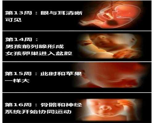 代孕喝酸奶需注意的6个事项_北京代孕什么时候合