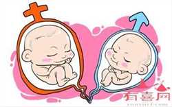 武汉代孕哪里有_武汉寻找代孕妈妈二十五岁_上海助孕骗局：一般情况下胚胎移