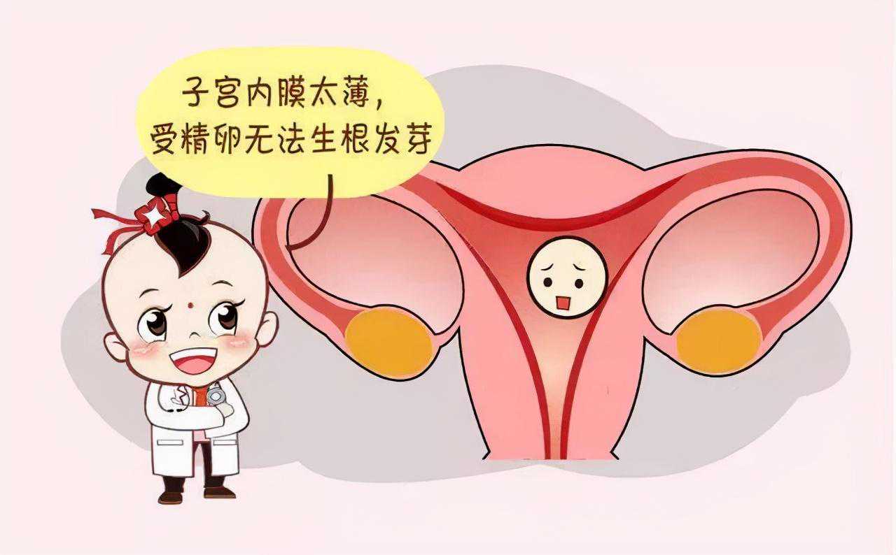 武汉41岁供卵试管成功_武汉卵巢早衰能怀孕吗?_子宫内膜薄是什么原因导致的？